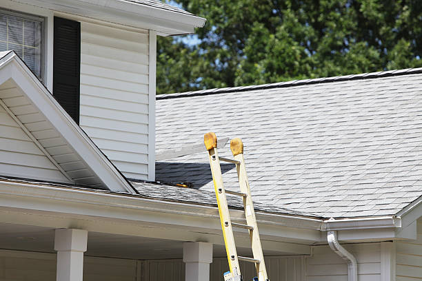 Best Stone Veneer Siding  in Mentor, OH